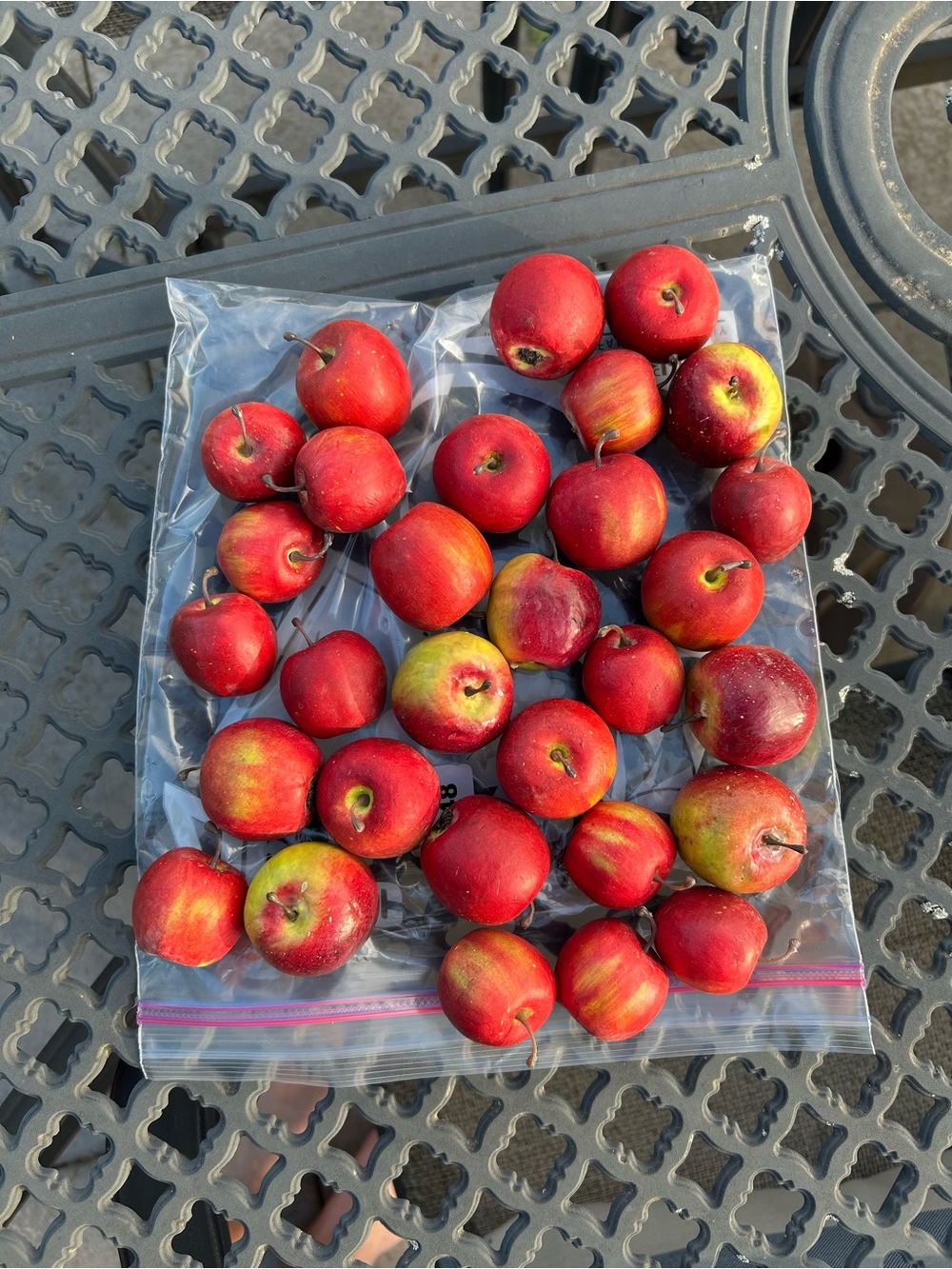 Bag of Small Red Artificial Apples